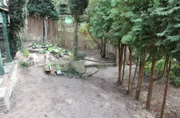 ModrzEtapI6